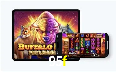 Níveis do programa VIP da 95f